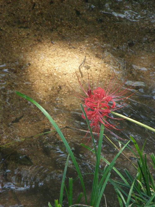 e0017396_0212620.jpg