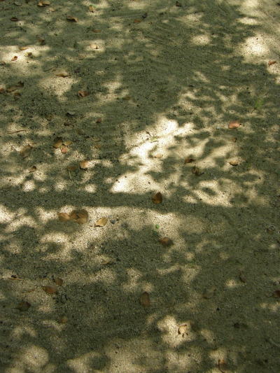 e0017396_045419.jpg