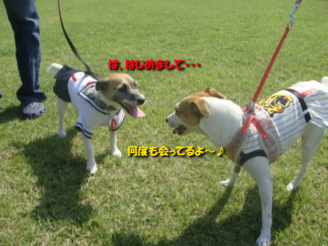 c0191597_9415836.jpg