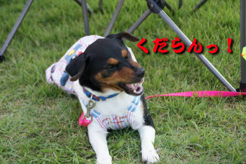 c0191597_9483521.jpg
