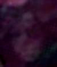 e0103408_14291939.gif