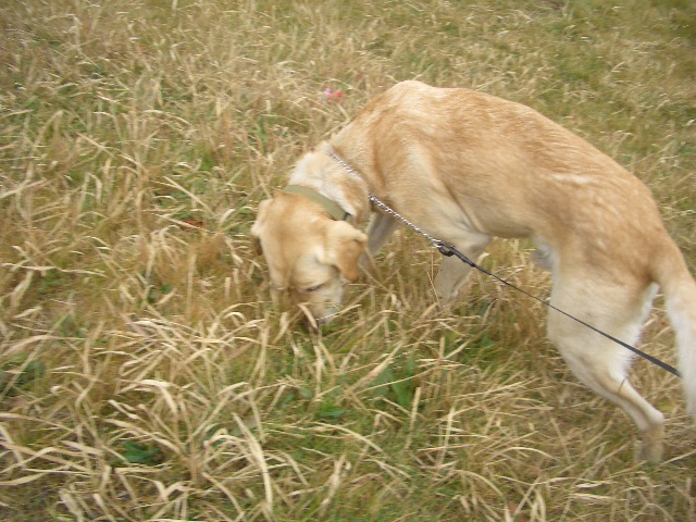 c0116610_22474661.jpg