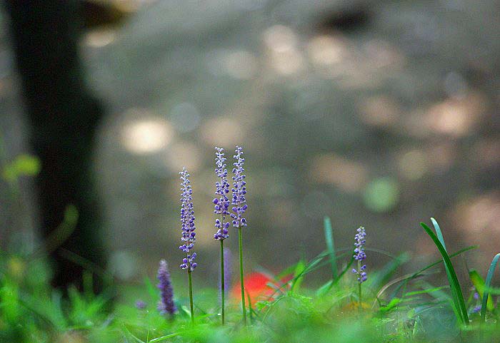 d0147812_15401179.jpg