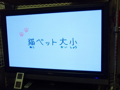 c0145016_8182523.jpg