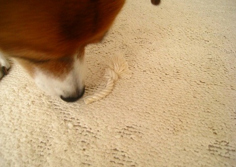 c0084117_14322710.jpg