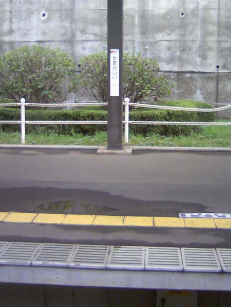c0083518_8475028.jpg