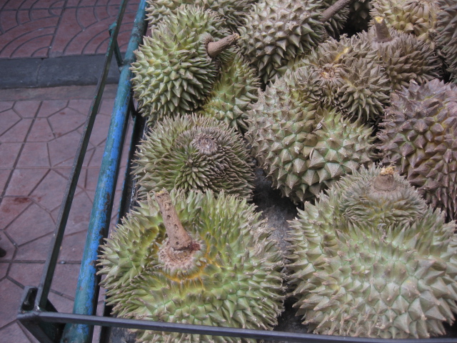 c0134522_16364078.jpg