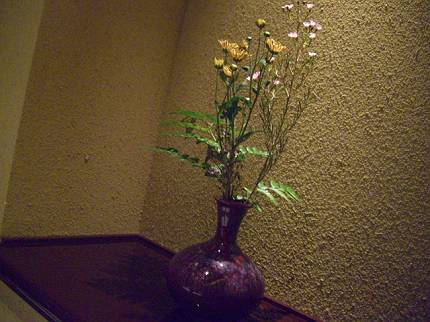 d0065324_225762.jpg