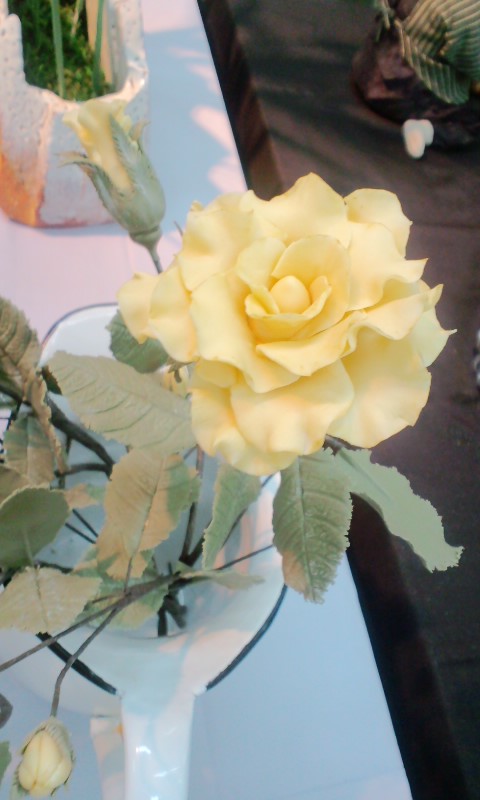 e0050324_18275490.jpg