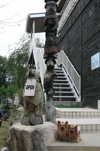 f0124830_2243025.jpg