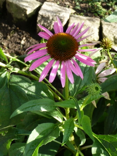 b0200240_10134246.jpg