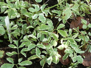 b0200240_10142494.jpg