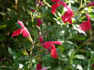 b0200240_10163383.jpg