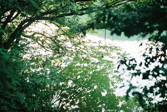 c0170441_3285510.jpg