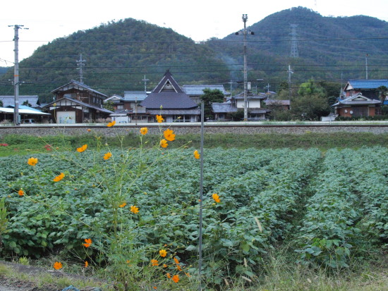 c0072843_18142715.jpg