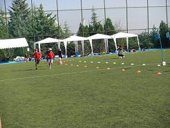 d0141144_3225633.jpg