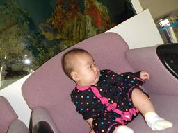 d0141144_4422014.jpg