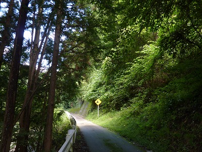 c0220047_936361.jpg