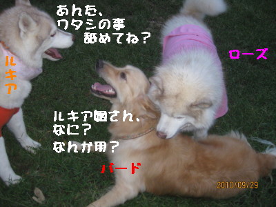 e0121548_1911573.jpg