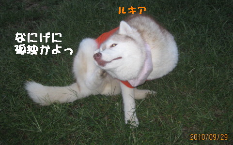 e0121548_19173476.jpg