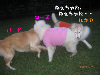 e0121548_19395138.jpg