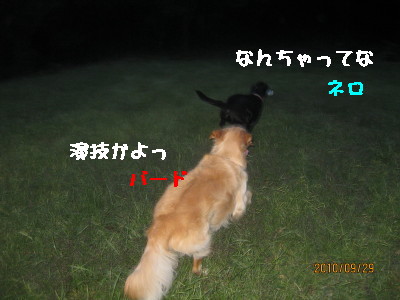 e0121548_1955259.jpg