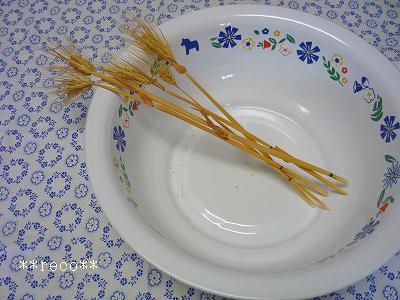 c0191852_169271.jpg