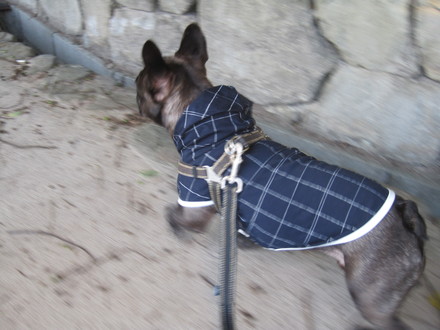 e0126054_1065072.jpg