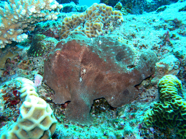 b0062363_225636.jpg