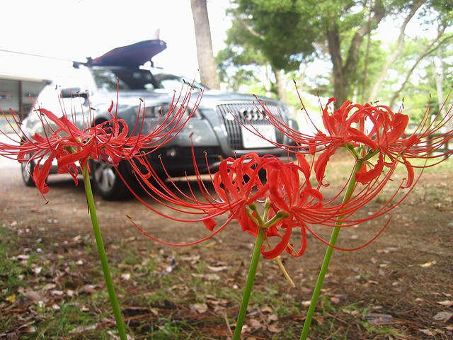 c0123363_19343314.jpg