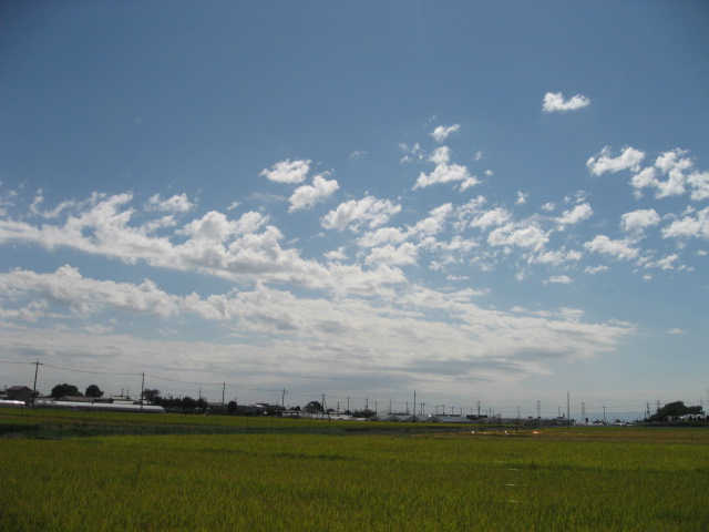 a0120264_1781343.jpg