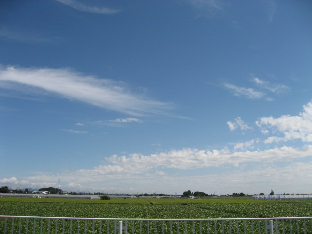a0120264_1782261.jpg