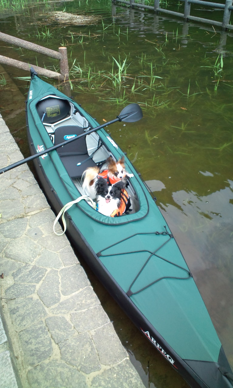 c0002967_22305847.jpg