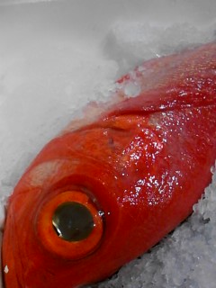 c0212669_156551.jpg