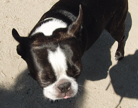d0152869_1741858.gif