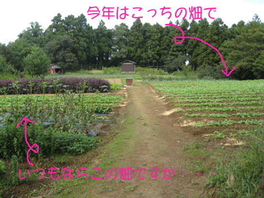 d0050871_1642191.gif