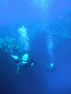 b0033573_21465064.jpg