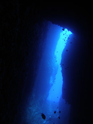 b0033573_21471432.jpg