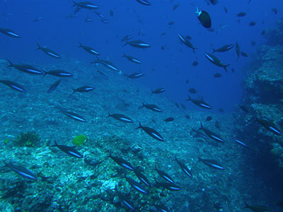 b0033573_2147353.jpg