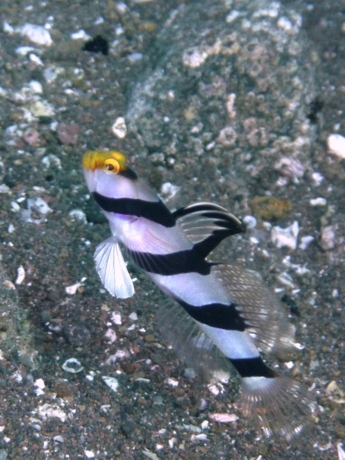 c0181073_20543931.jpg