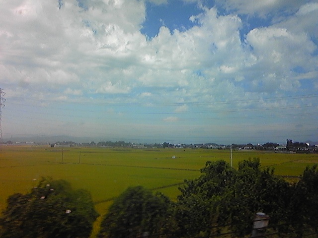 d0109673_2353352.jpg