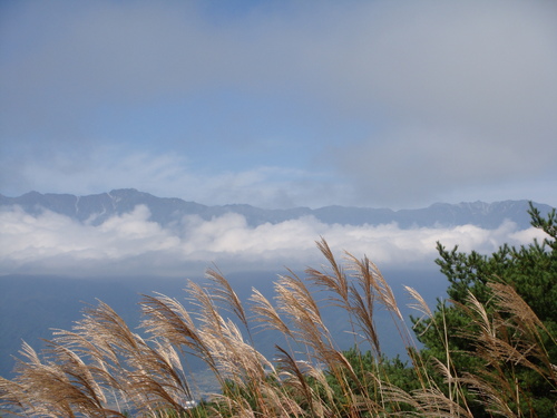 f0231573_2047765.jpg