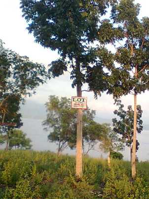 a0108380_9391528.jpg