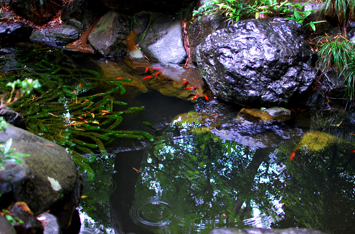 c0009981_13582036.jpg