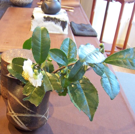 c0198781_1702355.jpg