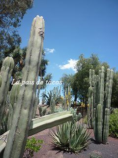 e0150782_340329.jpg