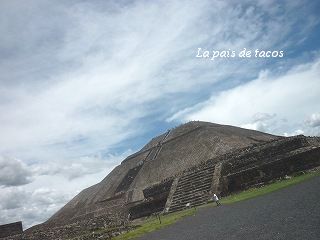e0150782_3411435.jpg