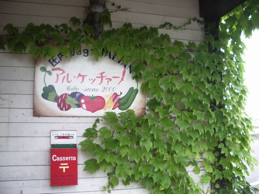 c0144683_912850.jpg