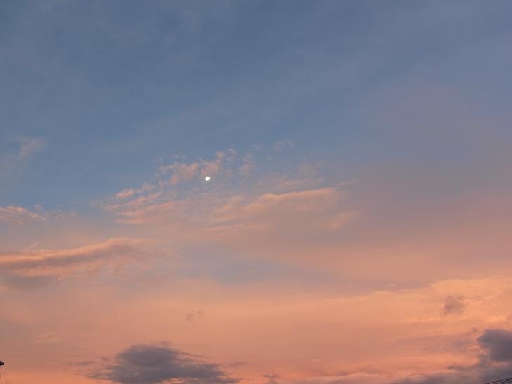 c0122788_4263319.jpg