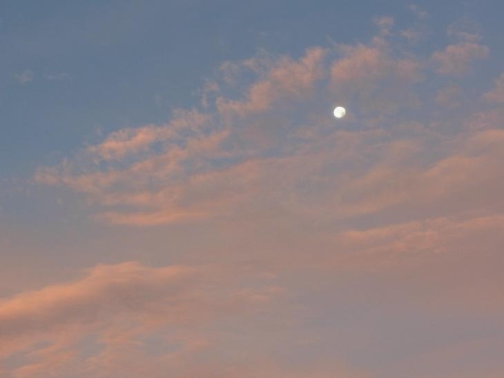 c0122788_4425341.jpg